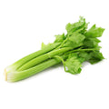 Celery / Bunch - Granieri's