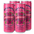 Raspberry Classic Soda 4 Pack-Beverages-Billson's-iPantry-australia