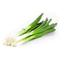 Spring Onions - Per Bunch-Granieri's-iPantry-australia