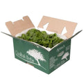 Spinach / Baby - Box (1.5kg)-Granieri's-iPantry-australia