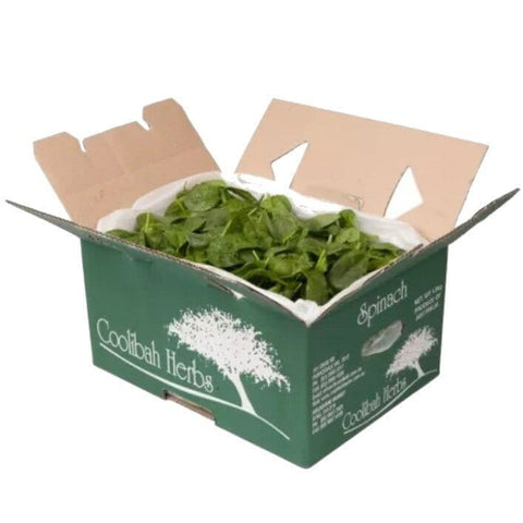 Spinach / Baby - Box (1.5kg)-Granieri's-iPantry-australia