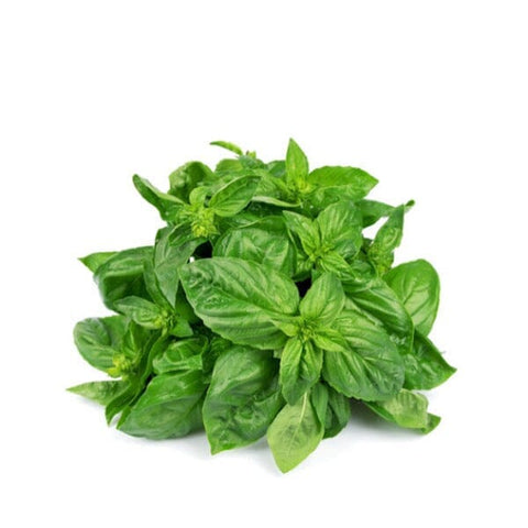 Basil - Per Bunch-Fresh Herbs-Granieri's-iPantry-australia