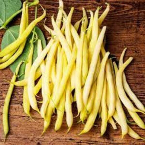 Beans / Butter - Punnet (250g)-Fresh Vegetables-Granieri's-iPantry-australia