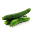 Cucumbers / Continental - Each-Granieri's-iPantry-australia