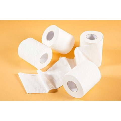 Toilet Paper Rolls 4 Ply - 10 pack-Pantry-iPantry Australia-iPantry-australia